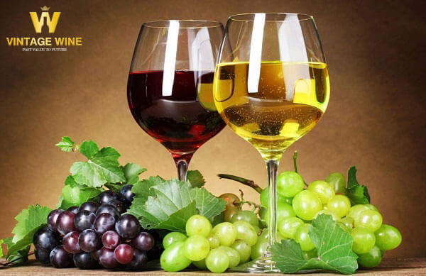 Hàm lượng Calo trong rượu vang