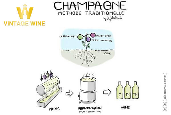 Quy trình sản xuất rượu Champagne Pháp 