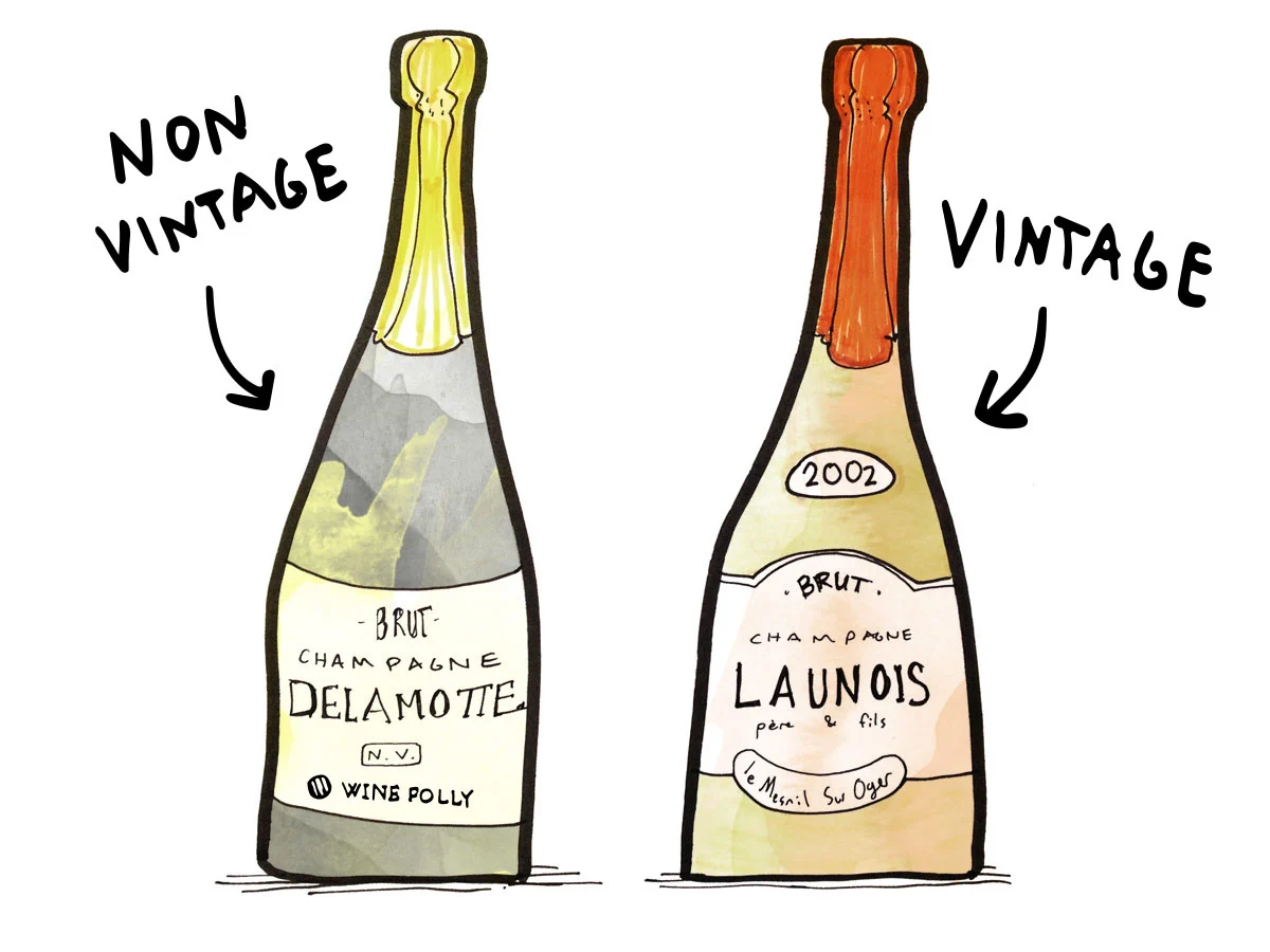 vintage vs non vintage champagne illustration winefolly1 5305263b066945708c191a85b69efd0e