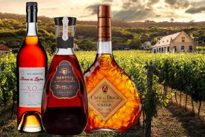 Tìm hiểu về rượu Armagnac & Phân biệt với Cognac và Brandy