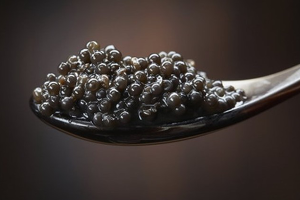 Quá trình sản xuất trứng cá tầm caviar