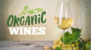 Lợi ích của rượu vang Organic
