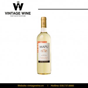 Mapu Sauvignon Blanc Chardonnay