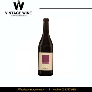 Rượu Vang Sandrone Barbera D’ Alba