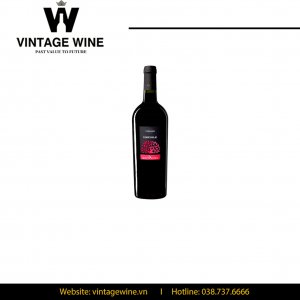 Rượu Vang Ý Visciole Velenosi