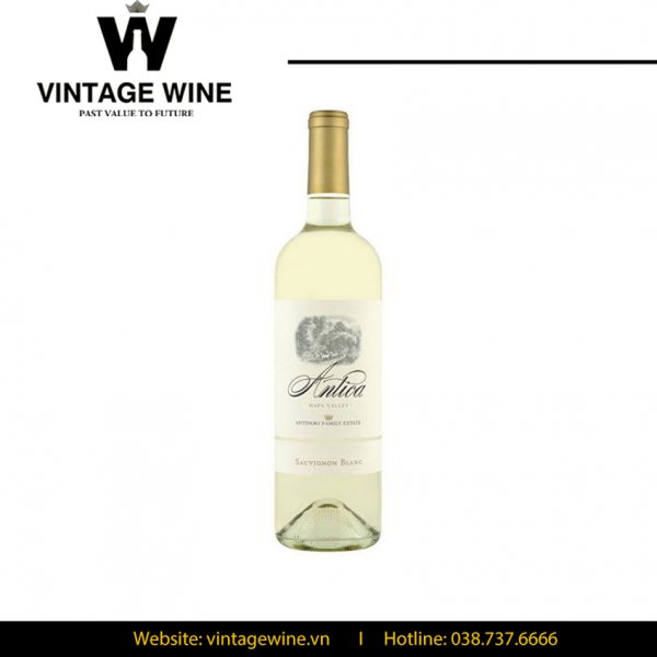 Rượu vang Antica Sauvignon Blanc