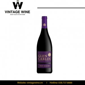 Rượu vang Glen Carlou Pinot Noir