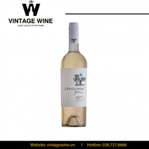 Rượu vang J.Bouchon Reserva Sauvignon Blanc