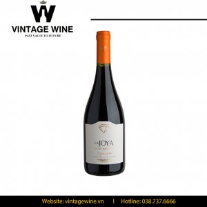 Rượu vang La Joya Gran Reserva Syrah Bisquertt