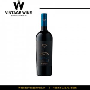 Rượu vang La Joya Single Vineyard Merlot Bisquertt