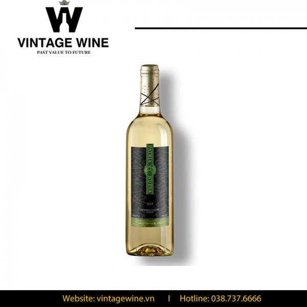 Rượu vang Patria Nueva Sauvignon Blanc