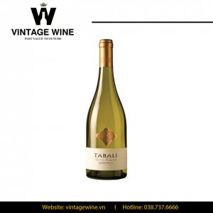 Rượu vang TABALI Reserva Especial Chardonnay