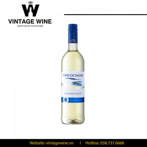 Rượu vang Two Oceans Sauvignon Blanc