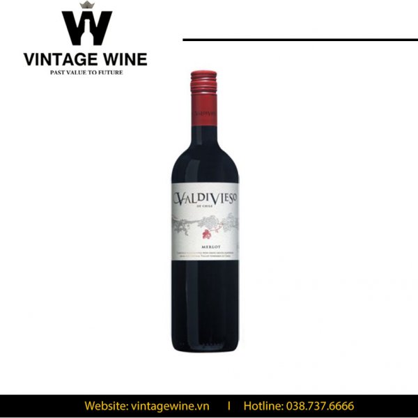 Rượu vang Valdivieso Merlot Classic