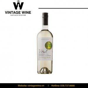 Rượu vang Vina Maipo Vitral Reserva Sauvignon Blanc