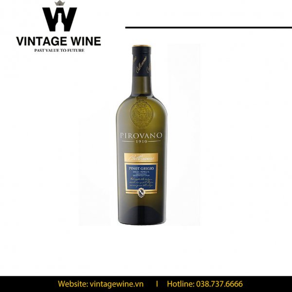 Rượu vang Pirovano 1910 Pinot Grigio