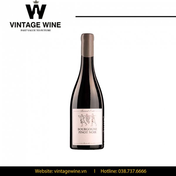 Rượu vang Benoit Ente Bourgogne Pinot Noir
