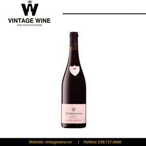 Rượu vang Bourgogne Gamay Domaine Labruyere