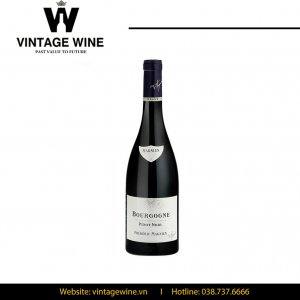 Rượu vang Bourgogne Pinot Noir Frederic Magnien