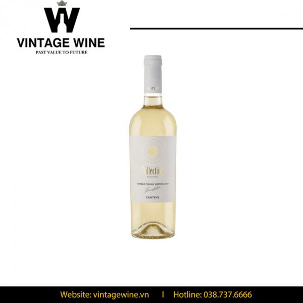 Rượu vang COLLECTION Fantini White Blend