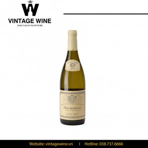 Rượu vang Couvent des Jacobins Bourgogne Chardonnay