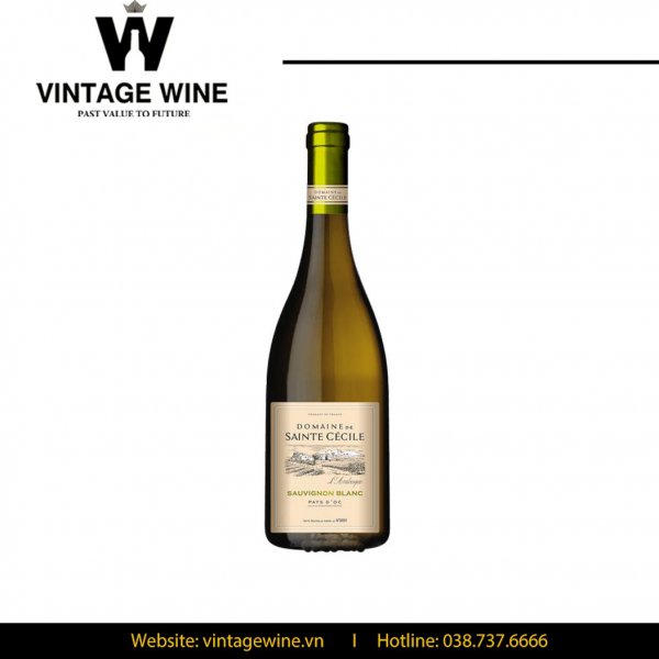 Rượu vang Domaine de Sainte Cecile Sauvignon blanc