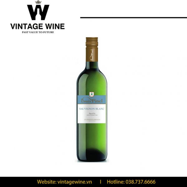 Rượu vang Louis Pinel Sauvignon Blanc