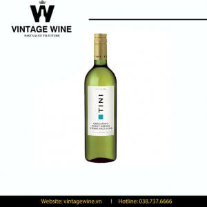 Rượu vang Tini Grecanico Pinot Terre Siciliane
