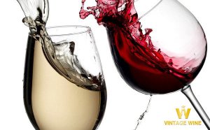 Tại sao uống rượu vang phải lắc?