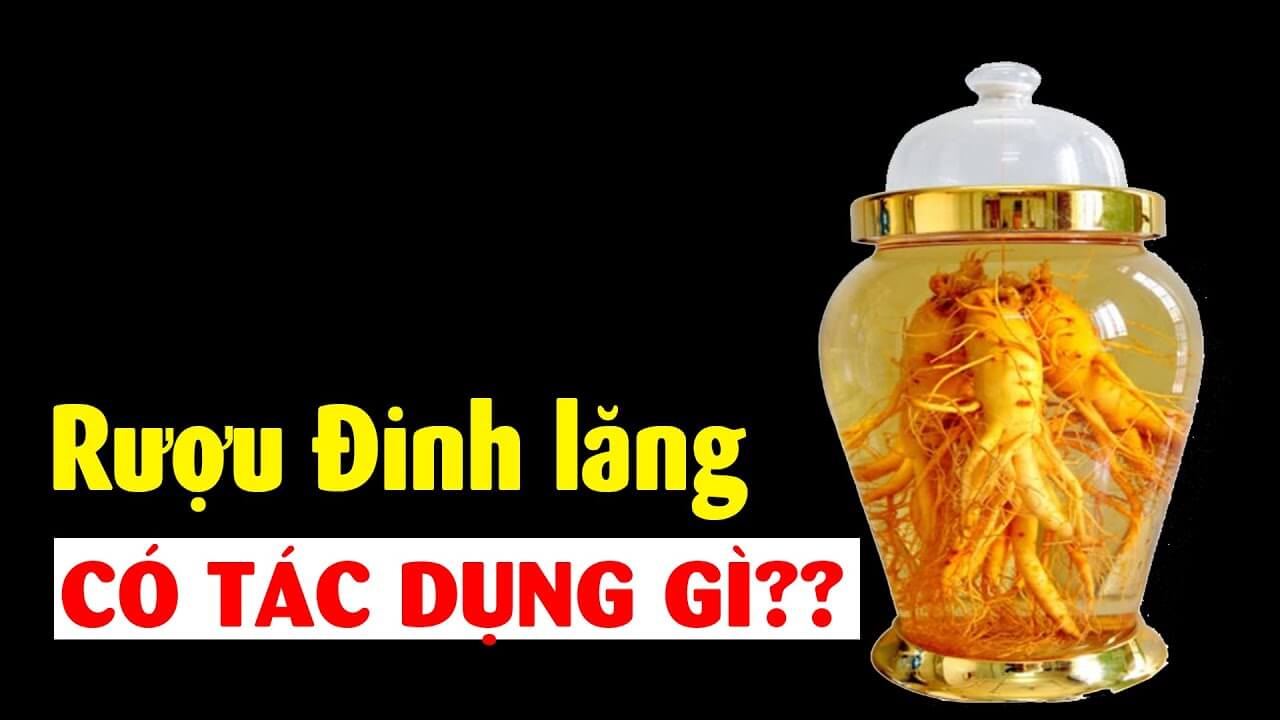 Bảo quản củ đinh lăng tươi theo cách nào giúp giảm thiểu lãng phí và tiết kiệm chi phí?