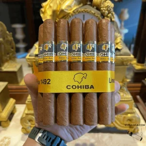 Xì Gà Siglo 2 - Cigar Cuba Cohiba Siglo II Tubos