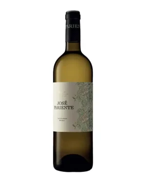 Vang Jose Pariente Sauvignon Blanc
