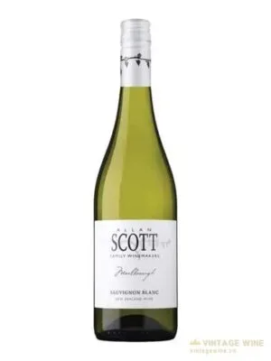 Allan Scott Sauvignon Blanc