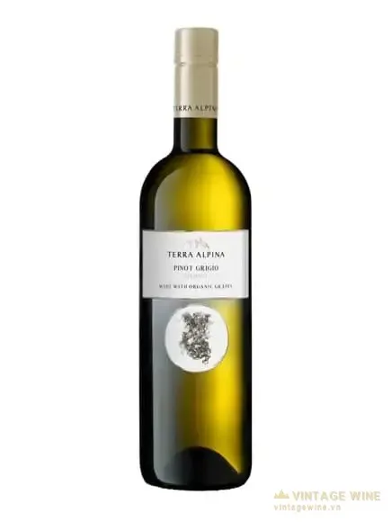 Alois Lageder Dolomiti Pinot Grigio