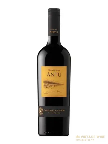 Antu Cabernet Sauvignon