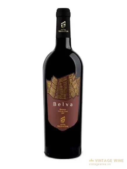 Belva Passito Rosso Colli Aprutini