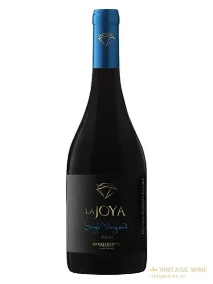 Bisquertt La Joya Single Vineyard Shiraz