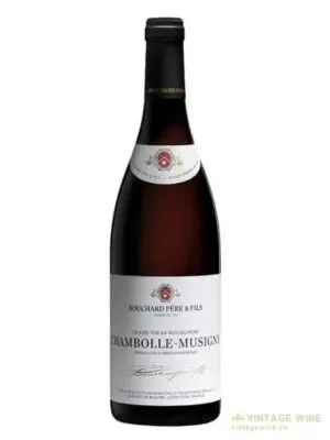 Bouchard Pere & Fils Chambolle-Musigny