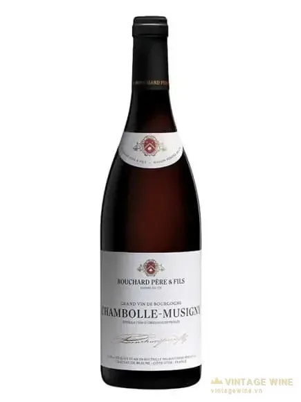 Bouchard Pere & Fils Chambolle-Musigny