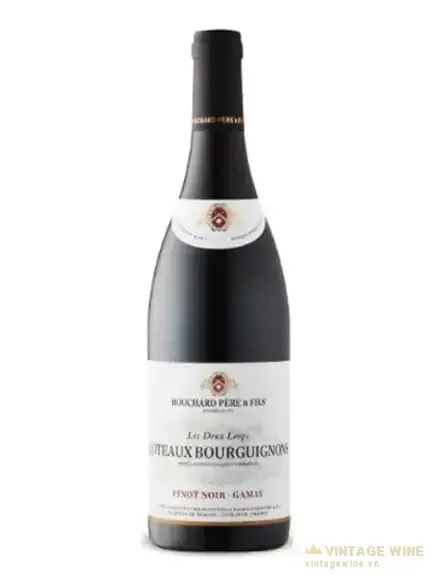 Bouchard Pere & Fils Coteaux Bourguignons Pinot Noir Gamay