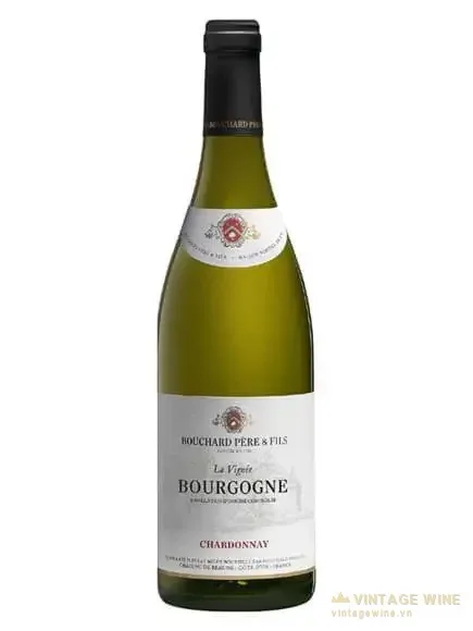 Bouchard Pere & Fils La Vignee Bourgogne Chardonnay