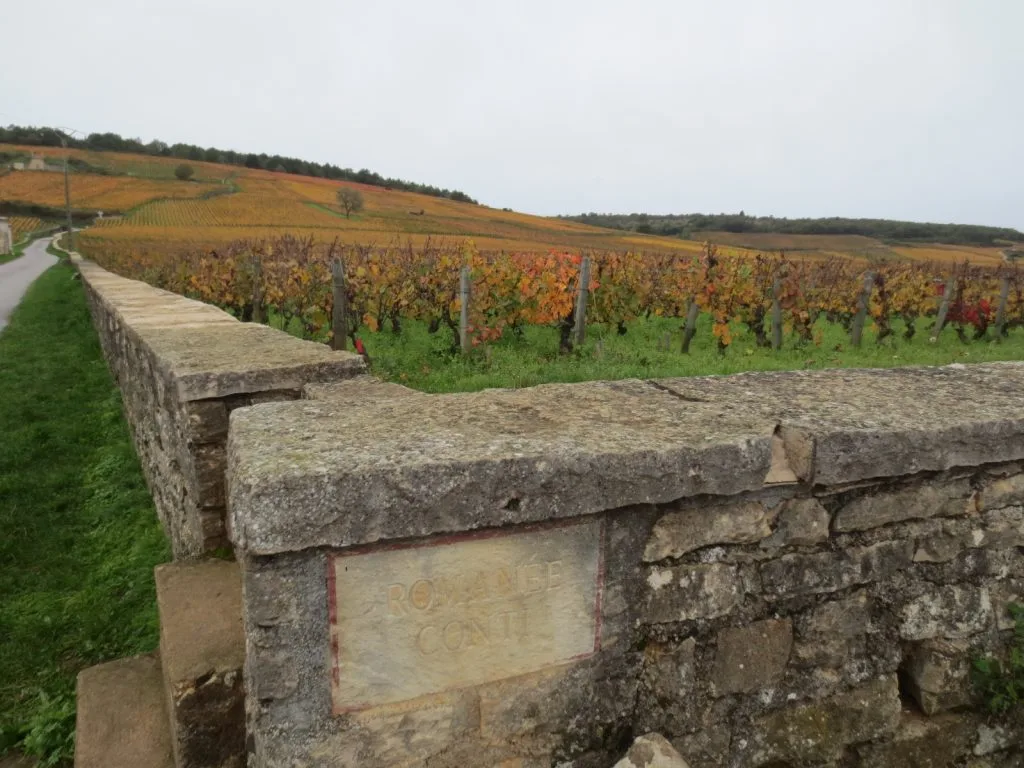 Vườn nho Grand Cru tại Vosne-Romanée, Burgundy