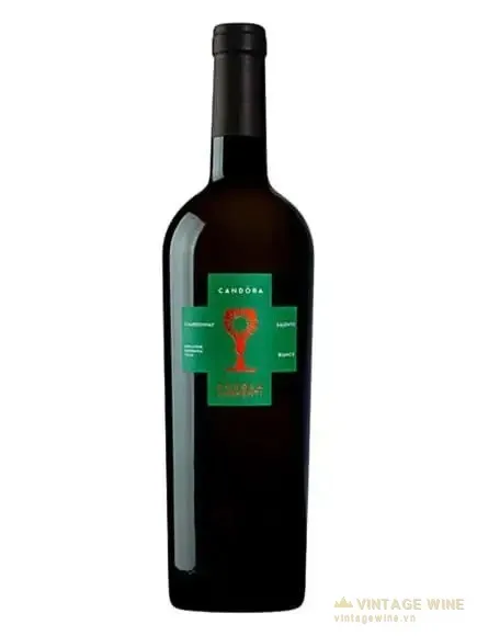 Candora Chardonnay (vang Chén Thánh)
