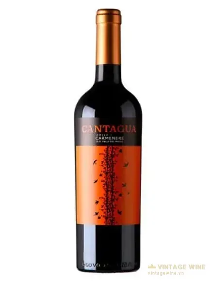 Cantagua Carmenere
