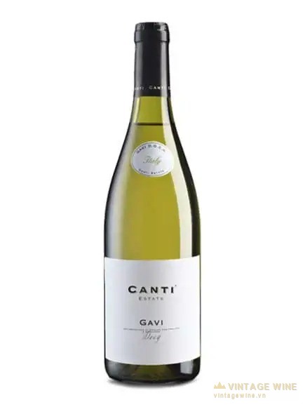 Canti Gavi