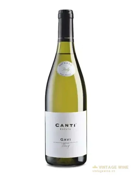 Canti Gavi