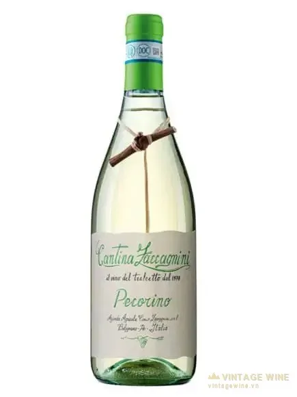 Cantina Zaccagnini Pecorino