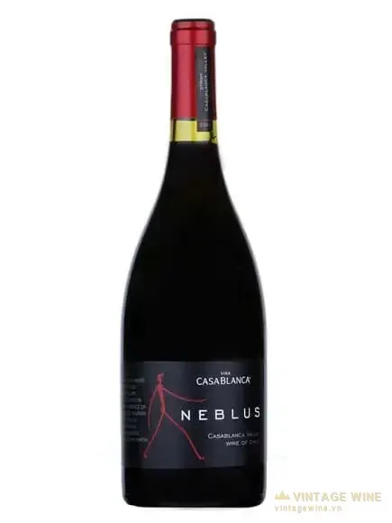 Casablanca Neblus Syrah