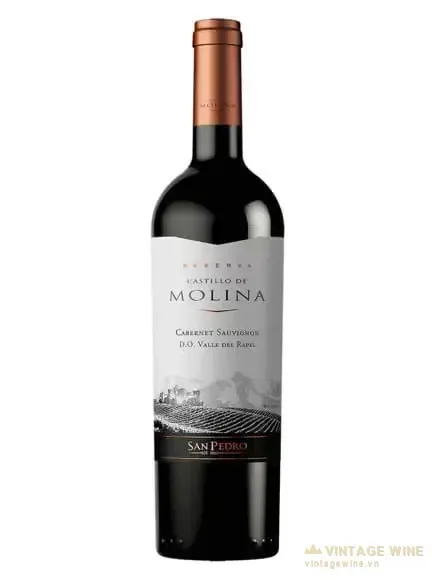 Castillo De Molina Reserva Cabernet Sauvignon