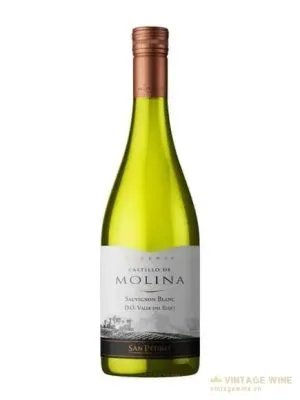 Castillo De Molina Reserva Sauvignon Blanc